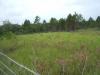 Palm Beach Vacant Land for sale