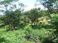 South Coast Property For Sale